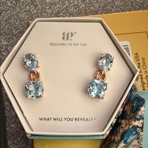 Blue Stone Drop Earrings by BB